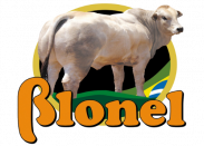 Blonel